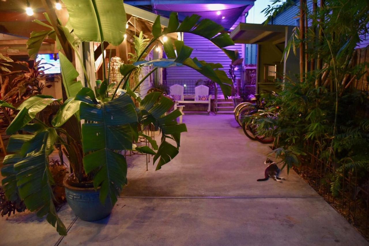 The Dragonfly Treme Guest House New Orleans Exterior foto