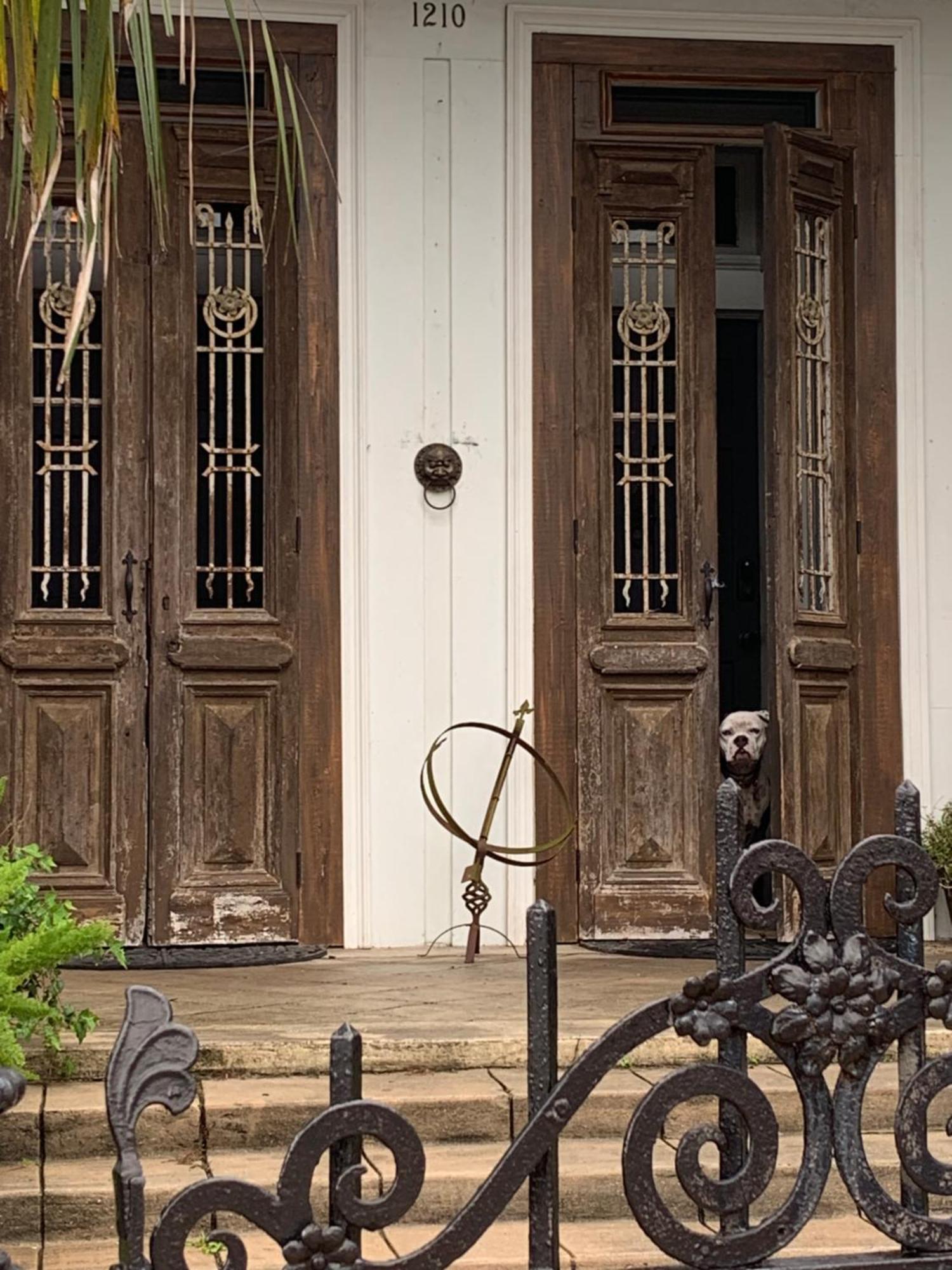 The Dragonfly Treme Guest House New Orleans Exterior foto