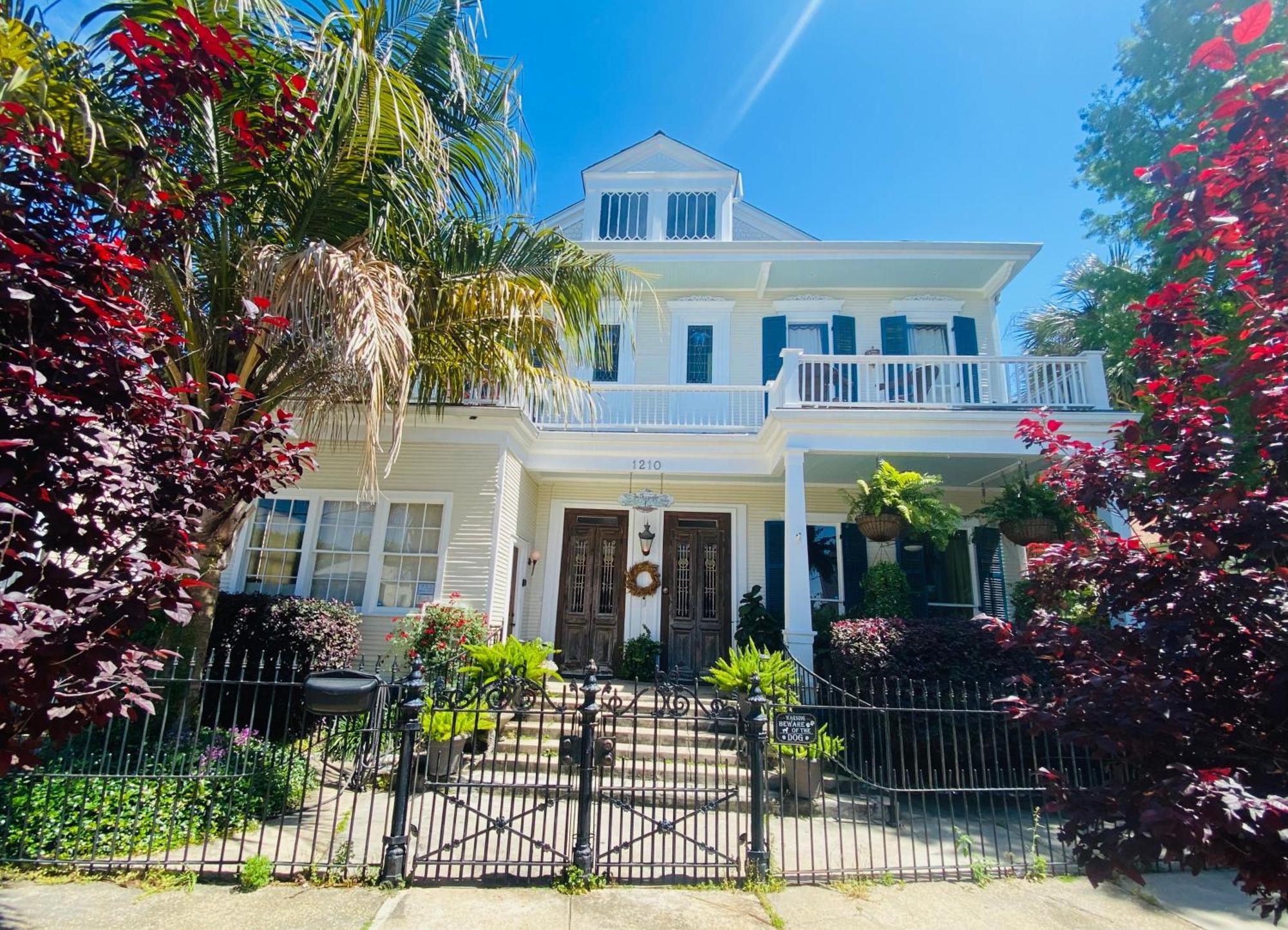 The Dragonfly Treme Guest House New Orleans Exterior foto