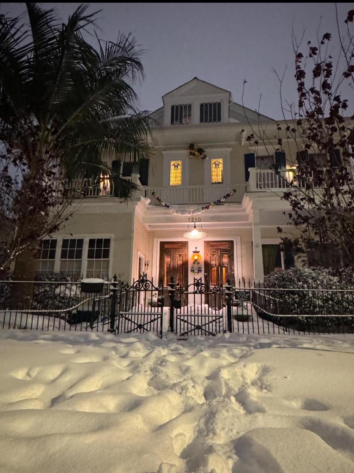 The Dragonfly Treme Guest House New Orleans Exterior foto